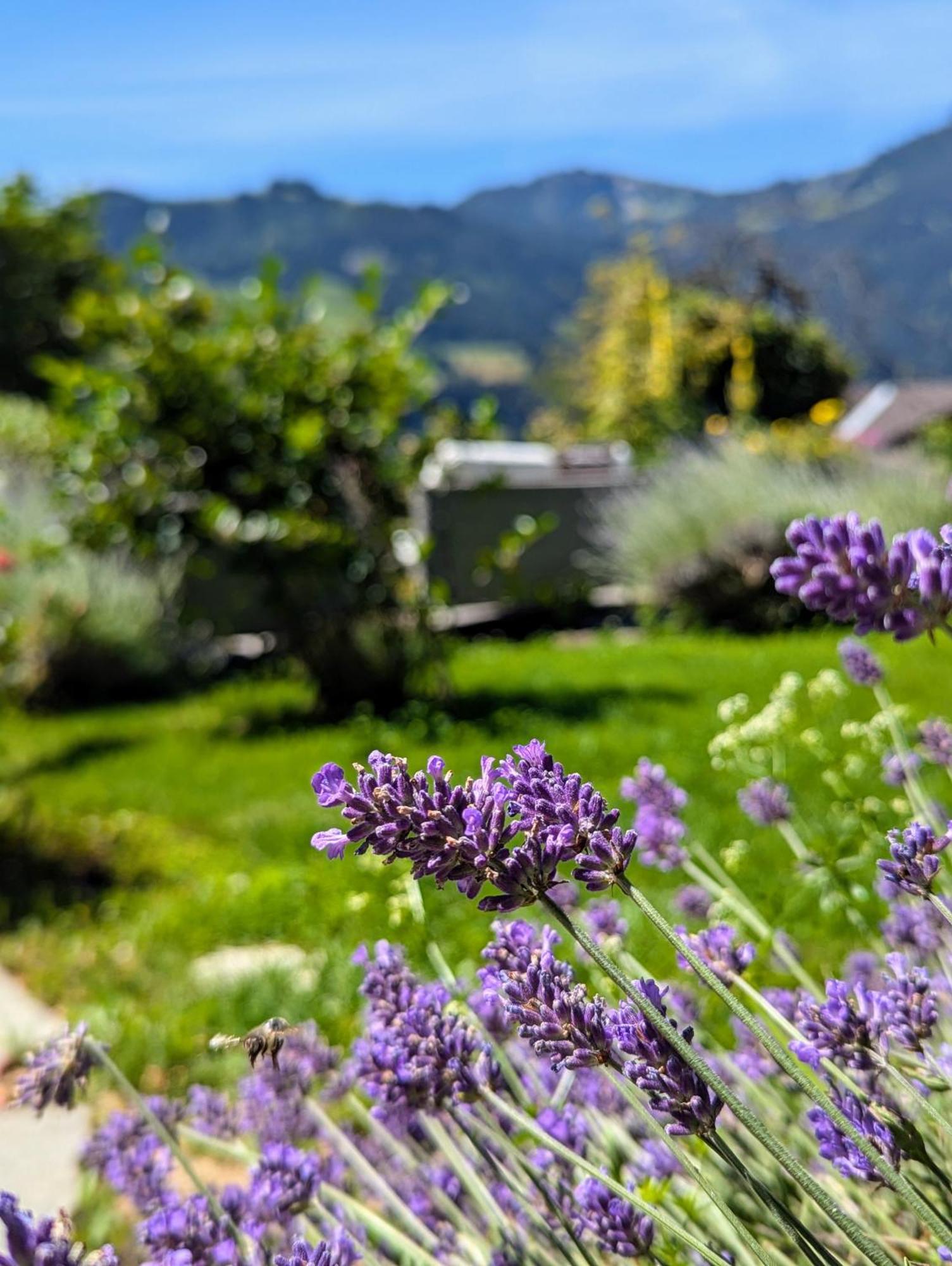 Swiss Mountain-Valley View Lodge Erlenbach im Simmental Екстериор снимка