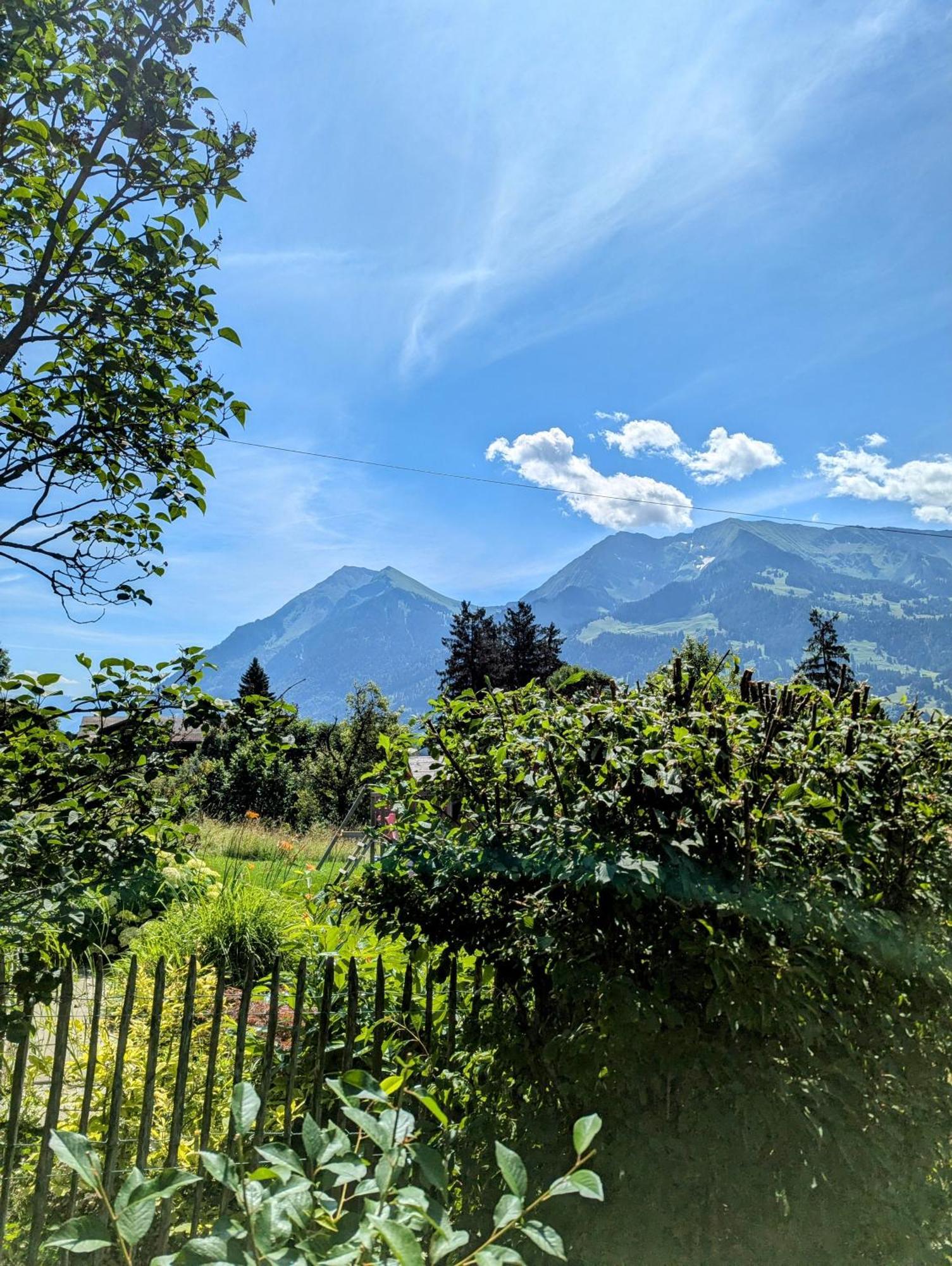 Swiss Mountain-Valley View Lodge Erlenbach im Simmental Екстериор снимка