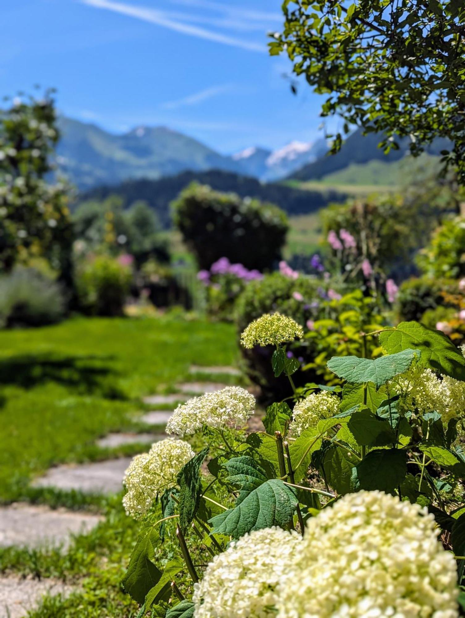 Swiss Mountain-Valley View Lodge Erlenbach im Simmental Екстериор снимка