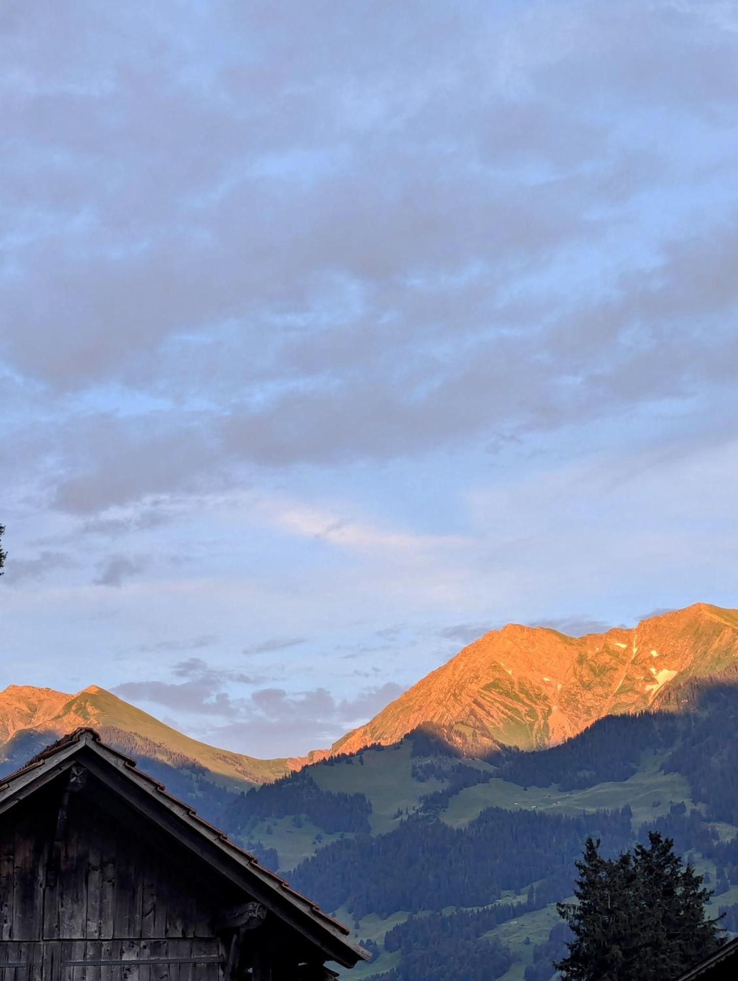 Swiss Mountain-Valley View Lodge Erlenbach im Simmental Екстериор снимка