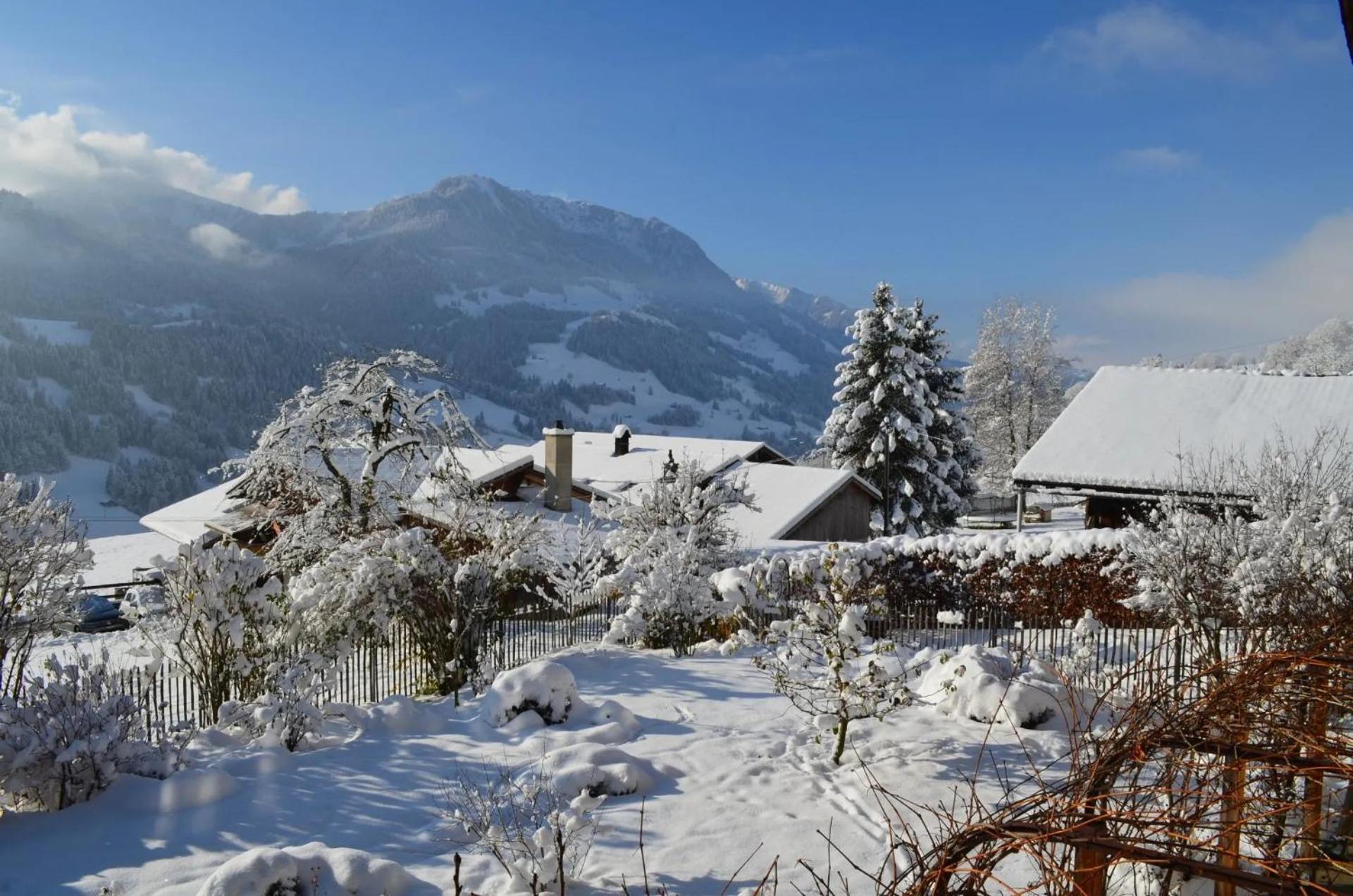 Swiss Mountain-Valley View Lodge Erlenbach im Simmental Екстериор снимка