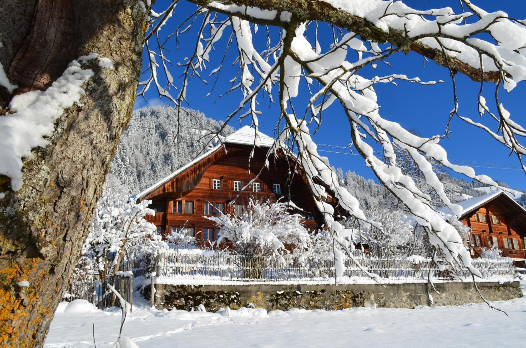 Swiss Mountain-Valley View Lodge Erlenbach im Simmental Екстериор снимка